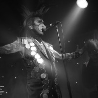 copyright Anne Forest 2014