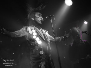 copyright Anne Forest 2014