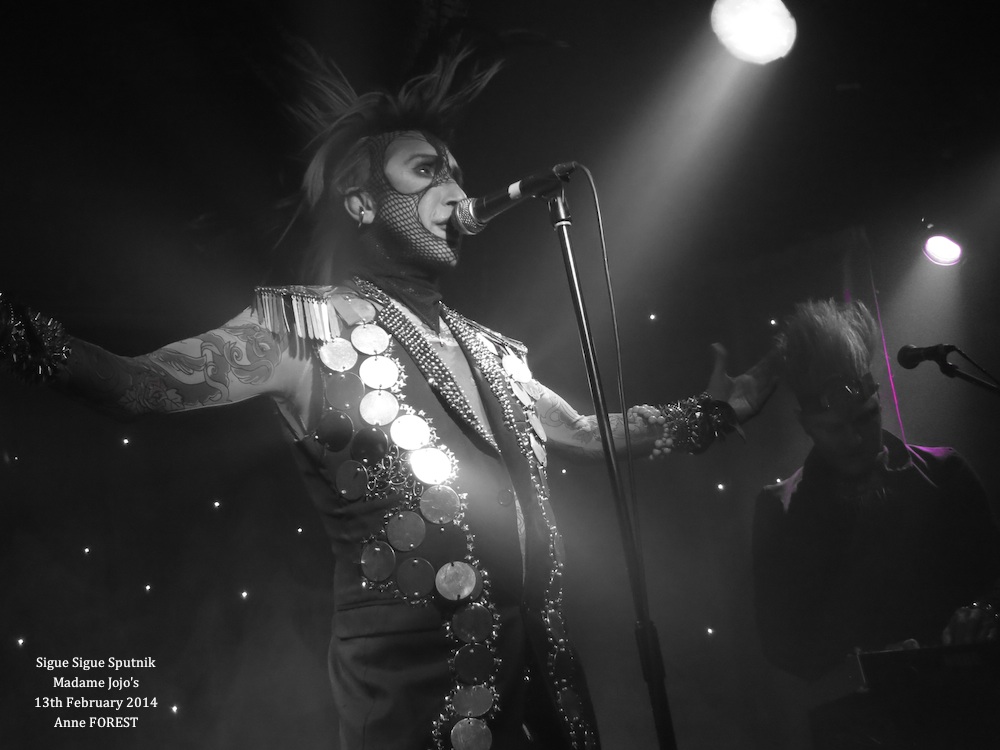 copyright Anne Forest 2014